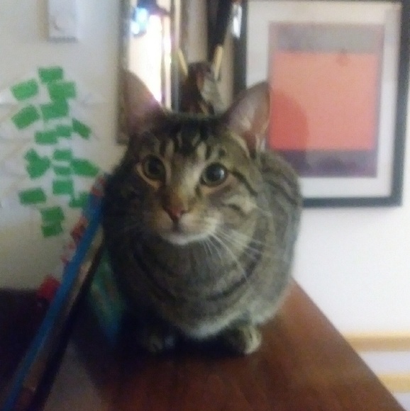 Meet your Posher, Kathy - Picture 1 of 1